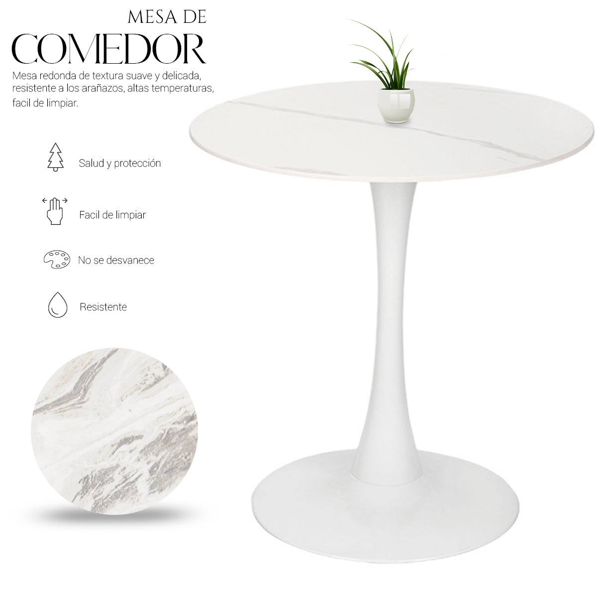 Mesa Redonda MAYOREO