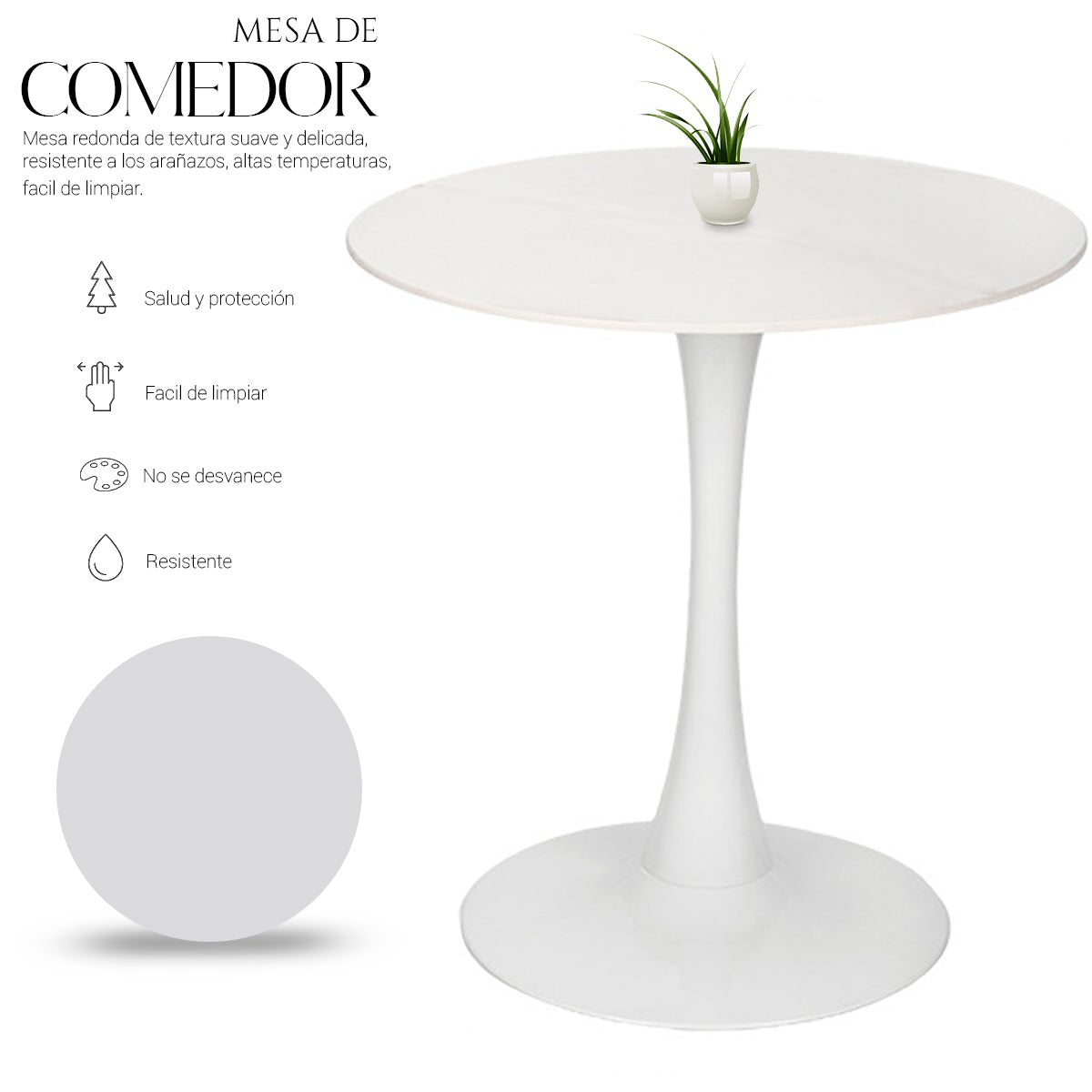 Mesa Redonda MAYOREO