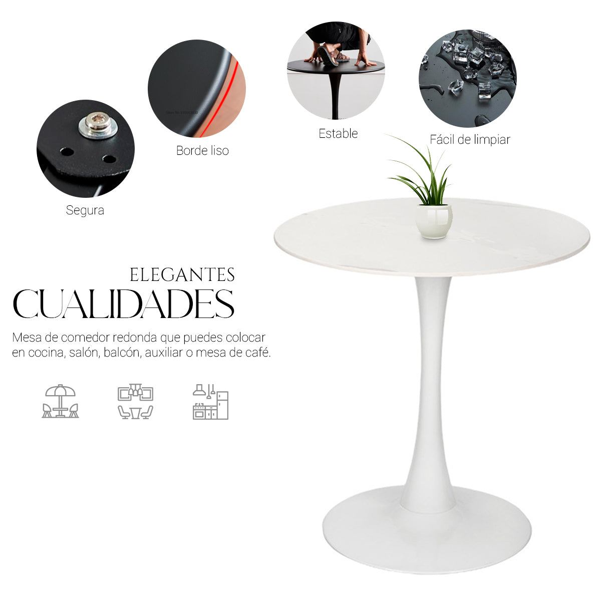 Mesa Redonda MAYOREO