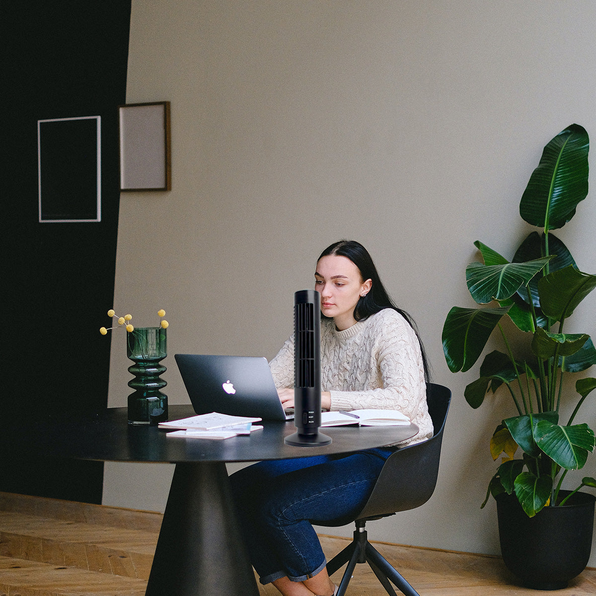 Ventilador De Escritorio